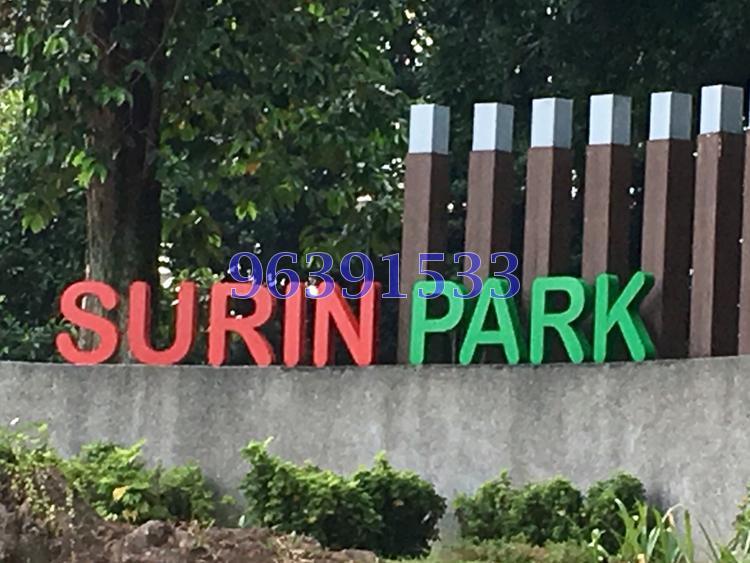 Surin Grove (D19), Terrace #129907622
